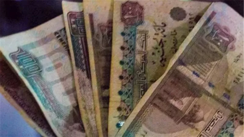 خطوات الاستعلام عن بيانات ملف المعاش الخاص بك لشهر يوليو 2026