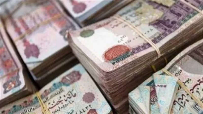 التأمينات الاجتماعية: جاهزية منافذ الصرف لبدء صرف معاشات يوليو 2026