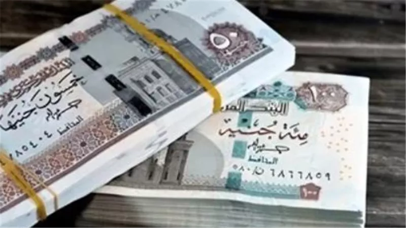 كل ما تريد معرفته عن معاشات يوليو 2026 وآلية الزيادة السنوية