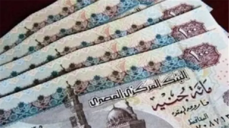 كيف تستعلم عن معاشك إلكترونيًا قبل موعد صرف يوليو 2026؟