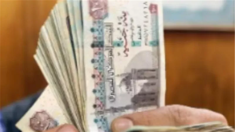 دليلك للاستعلام الإلكتروني عن معاشات يوليو 2026