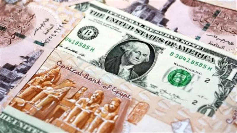 أسعار الدولار مقابل الجنيه في البنك المركزي والبنوك التجارية