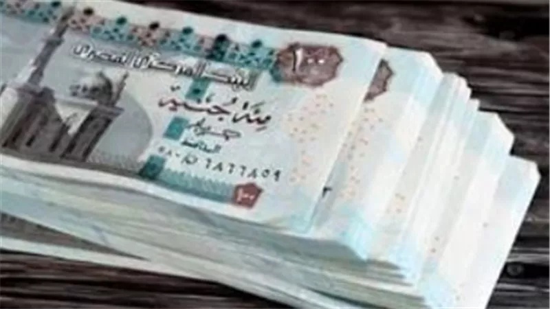 خطوات الاستعلام عن معاشات يوليو 2026 عبر الموقع الإلكتروني