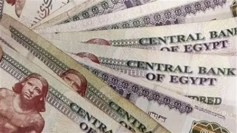تعديلات قانون التأمينات والمعاشات: ضمانات الاستدامة المالية والزيادة الدورية