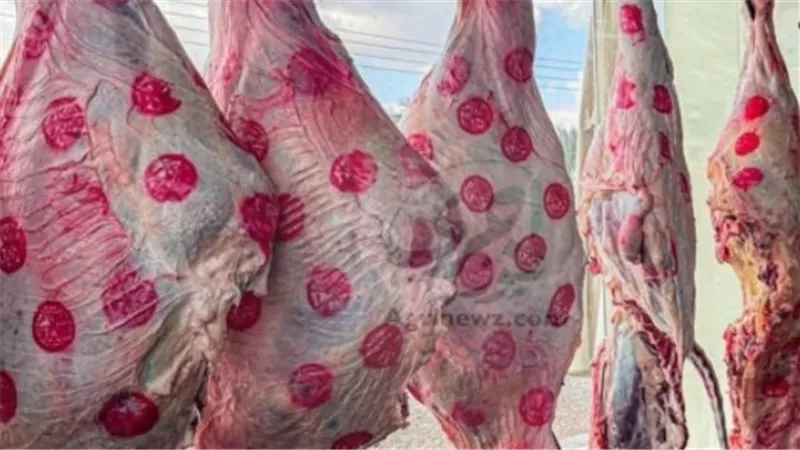 تباين أسعار اللحوم في السلاسل الوطنية: إليك التفاصيل الكاملة للأسعار اليوم