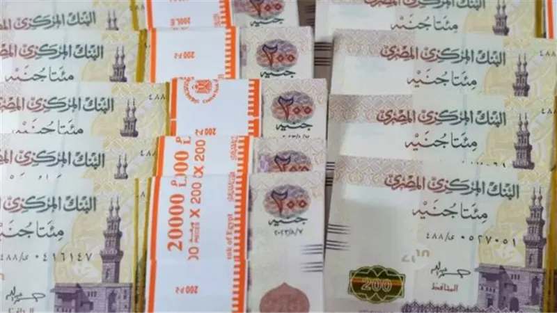 خارطة استثمارية لعام 2026: مميزات وعيوب الشهادات الادخارية الجديدة في مصر