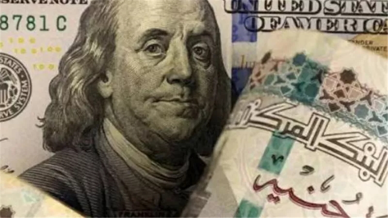دليل أسعار الدولار في البنوك المصرية: استقرار ملحوظ في حركة التداول
