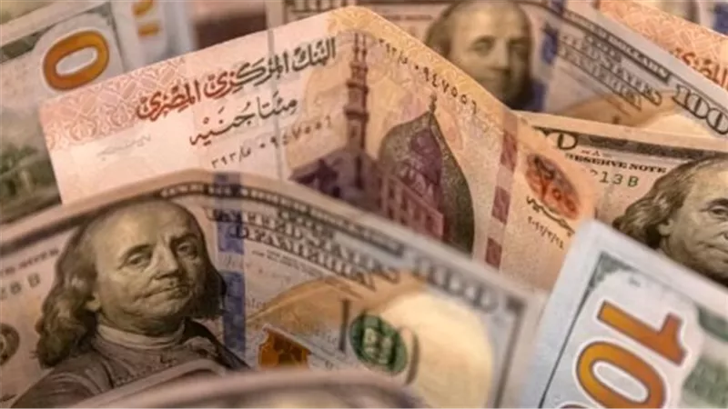 حالة من الهدوء في سوق الصرف: الدولار يحافظ على مستوياته أمام الجنيه