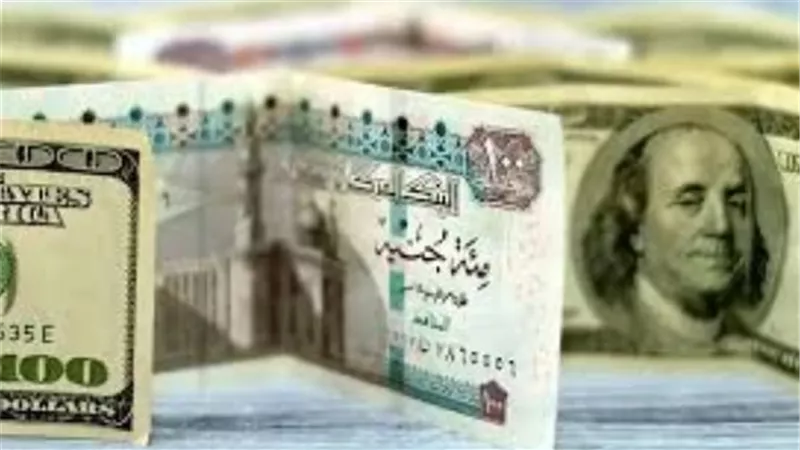 ما هو سعر الدولار اليوم في مصر؟ تحديثات مباشرة لأسعار البيع والشراء