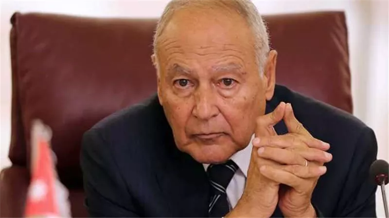 أبو الغيط: العرب ليسوا أقل تأثيرا من الاتحاد الأوروبي والتنسيق المشترك ضرورة