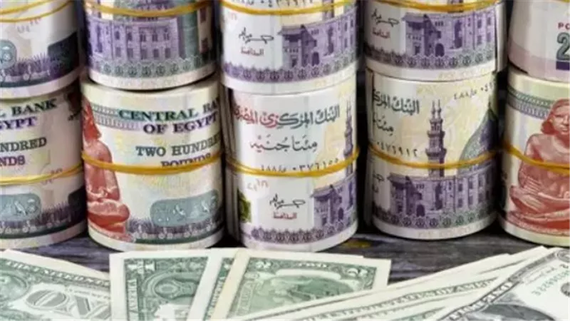 أسعار الدولار اليوم: حالة من الثبات في البنوك المصرية وسط ترقب الأسواق