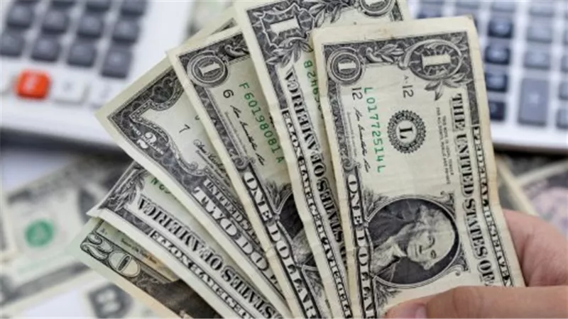 استقرار أسعار الصرف: الدولار يواصل الثبات في البنوك المصرية اليوم