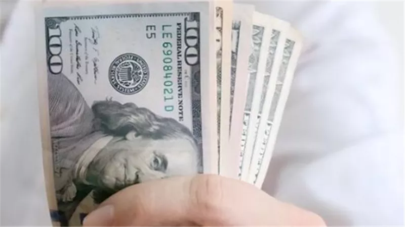 التقرير اليومي لأسعار العملات: الدولار يسجل سعرًا مستقرًا في البنوك المصرية
