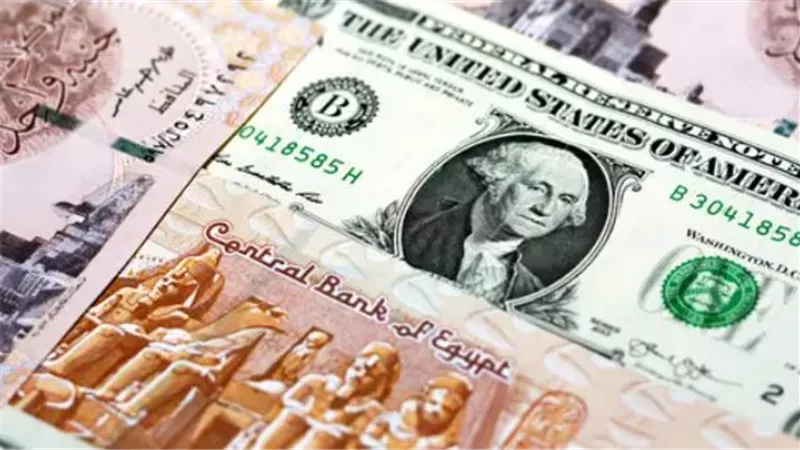 تعرف على سعر الدولار مقابل الجنيه فى البنك المركزى المصرى