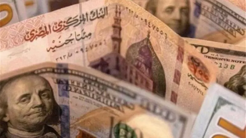 تحديثات أسعار الدولار في البنوك المصرية: استقرار ملحوظ في تعاملات الخميس