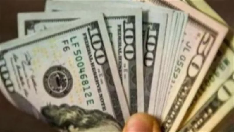 نظرة على سعر صرف الدولار مقابل الجنيه في مستهل شهر يوليو 2026