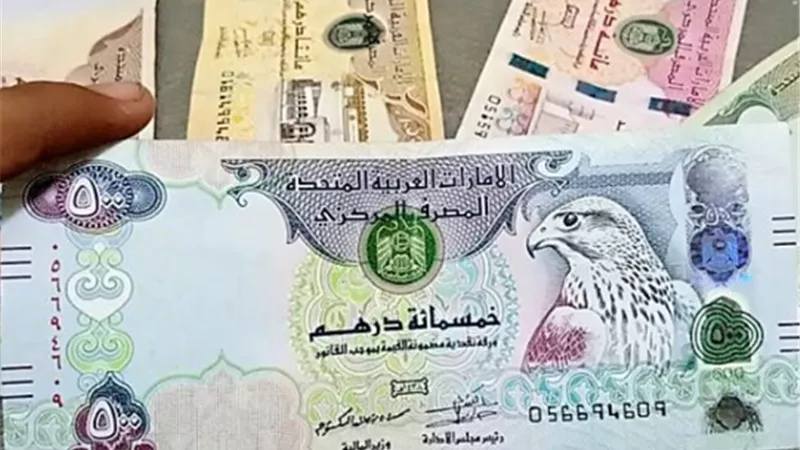 للمسافرين والمستثمرين: خريطة أسعار الدرهم الإماراتي في مختلف البنوك المصرية
