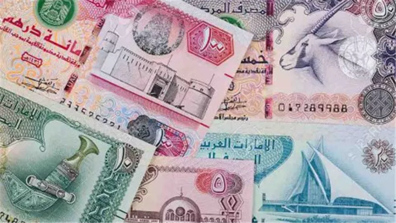 أسعار الدرهم الإماراتي في البنوك المصرية: استقرار ملحوظ في تعاملات السبت