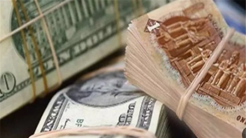 مؤشرات استقرار سعر الدولار في البنوك المصرية بختام تعاملات الأحد