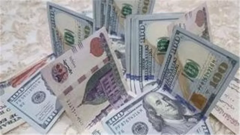 سعر الدولار اليوم: حالة من الهدوء والاستقرار تسيطر على البنوك