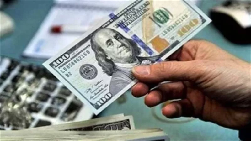 الأسعار المحدثة للدولار في البنوك المصرية اليوم الأحد
