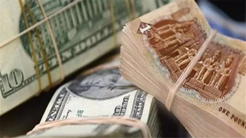 جدول أسعار الدولار في مصر اليوم الأربعاء 8-7-2026 أمام الجنيه المصري