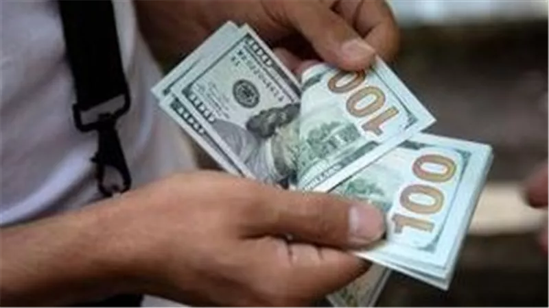 تقرير أسعار الدولار اليوم: حالة من الثبات في تعاملات الصباح بالبنوك المحلية