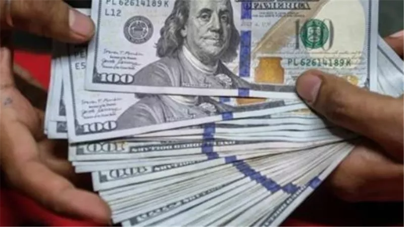 التوترات الجيوسياسية ترفع سعر الدولار في مصر 