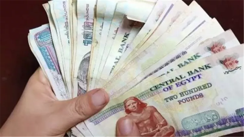 دليلك الشامل للاستعلام عن حالة بطاقة تكافل وكرامة إلكترونيًا