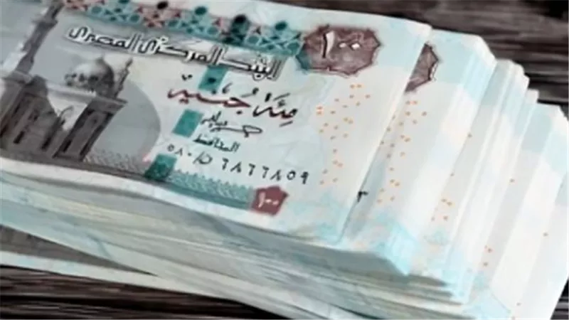 كيف تضمن استمرار استحقاقك في برنامج تكافل وكرامة؟