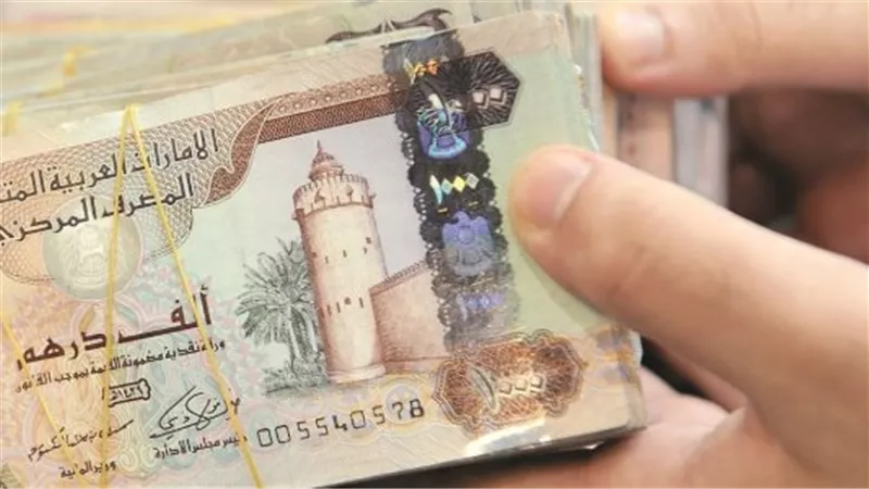 استقرار أسعار الدرهم الإماراتي في البنوك المصرية اليوم الإثنين