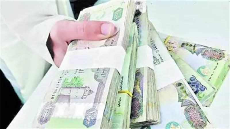 خريطة أسعار الصرف: الدرهم الإماراتي يواصل ثباته أمام الجنيه المصري اليوم