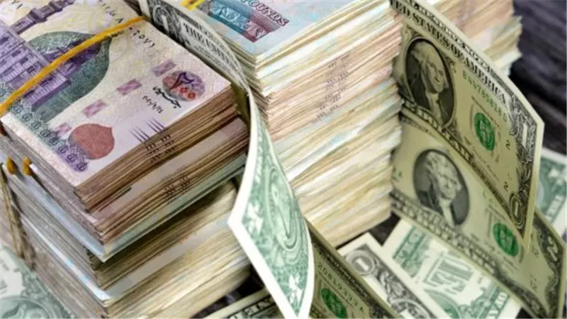 لماذا يرتفع سعر الدولار مقابل الجنيه المصري في يوليو 2026؟