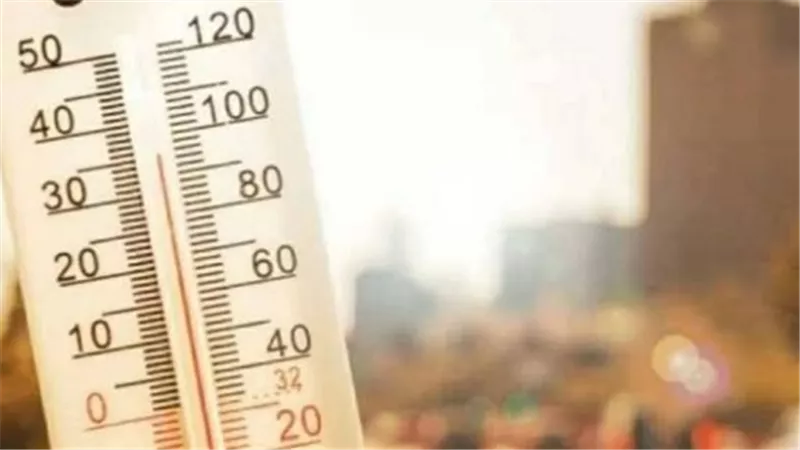 هل يتأثر الطقس بالشبورة؟ تعرف على الظواهر الجوية المتوقعة اليوم