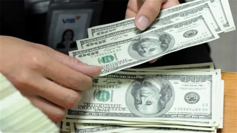 مؤشرات سوق الصرف المصري: ثبات سعر الدولار في بداية التعاملات