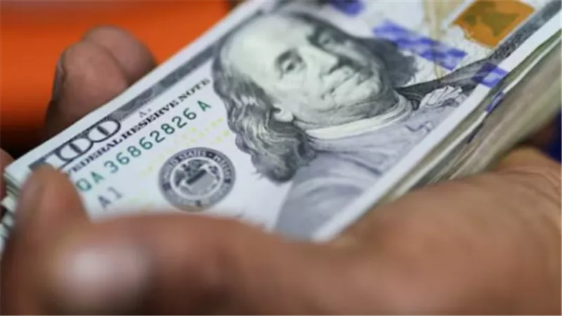 قائمة أسعار الدولار في البنوك المصرية اليوم 18_7_2026