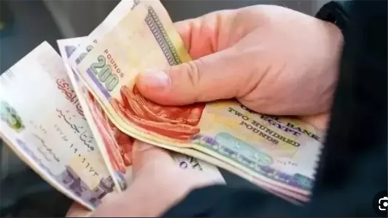 المالية تكشف عن تكلفة زيادة الأجور في موازنة العام المالي الجديد 2026