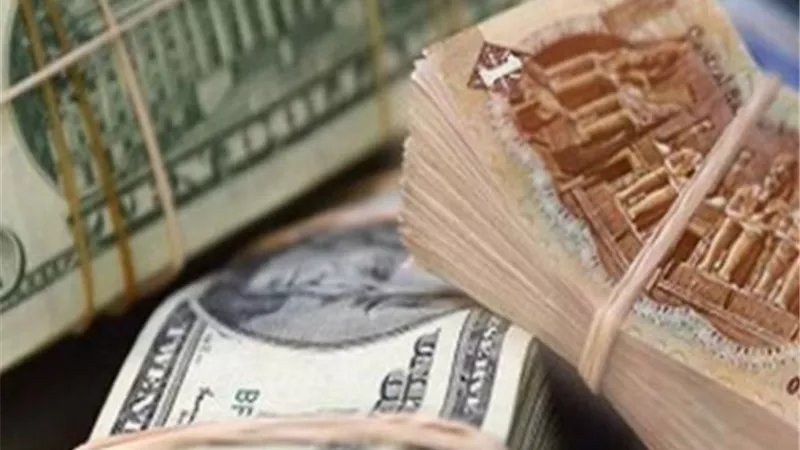 هدوء في أسواق الصرف: استقرار سعر الدولار في البنك المركزي والبنوك الكبرى