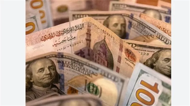 سعر الدولار في البنك المركزي والبنوك الحكومية اليوم 19_7_2026