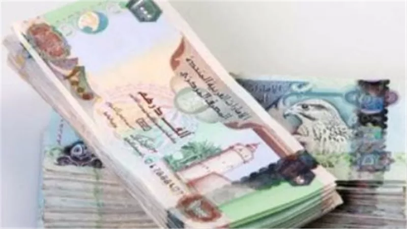 استقرار ملحوظ في أسعار صرف الدرهم الإماراتي مقابل الجنيه اليوم