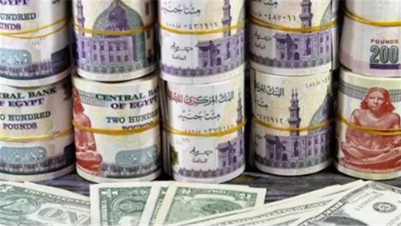 ثبات سعر الصرف في البنك الأهلي المصري وبنك مصر مسجلًا 51.03 جنيه لشراء العملة الأمريكية