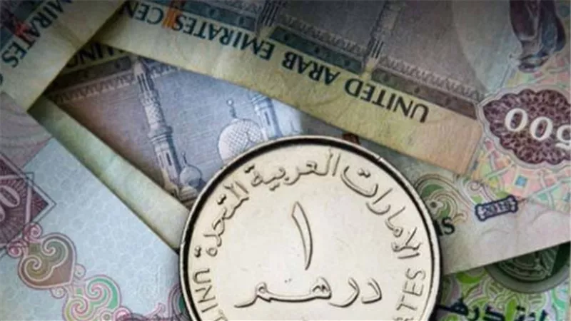 البنك المركزي المصري يعلن سعر الدرهم الإماراتي عند 13.89 جنيه للشراء و13.92 جنيه للبيع