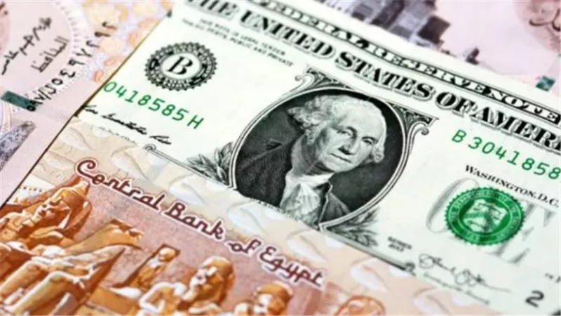 سعر الدولار في البنوك المصرية اليوم.. ثبات ملحوظ وسط استقرار السوق