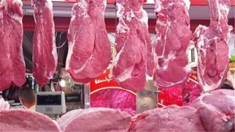 أسعار السجق والكفتة والحواوشي اليوم: تفاصيل شاملة لكافة مصنعات اللحوم في السوق المحلي