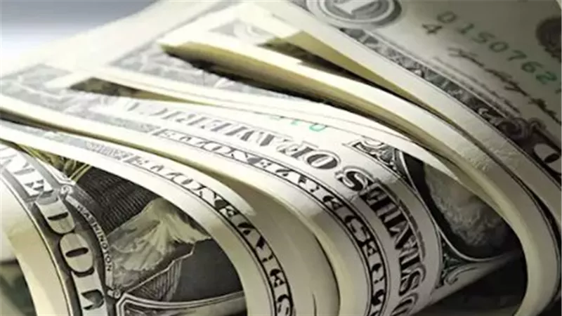 استقرار سعر الدولار وسط تحسن مؤشرات الاقتصاد المصري وارتفاع الاحتياطي النقدي