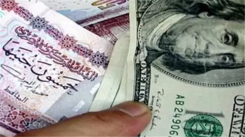 الدولار يستقر أمام الجنيه.. والحكومة تؤكد استمرار تحسن المؤشرات الاقتصادية