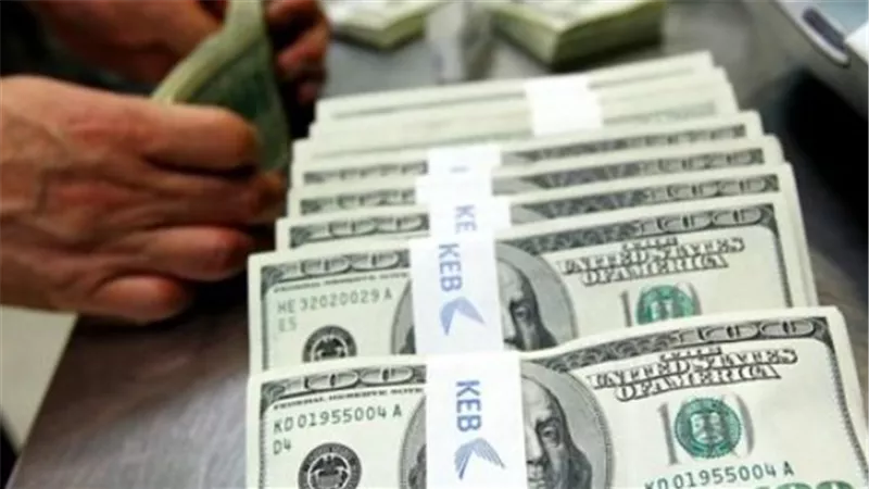 تحديث سعر الدولار اليوم في مصر.. المركزي والبنوك التجارية دون تغييرات جديدة