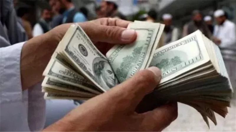 سعر الدولار اليوم في البنك المركزي المصري