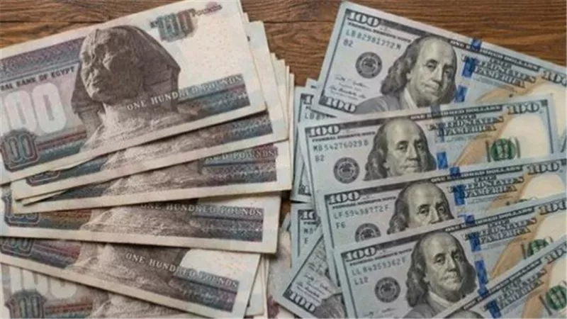 سعر صرف الدولار اليوم في مصر.. أحدث تحديثات البنوك المصرية
