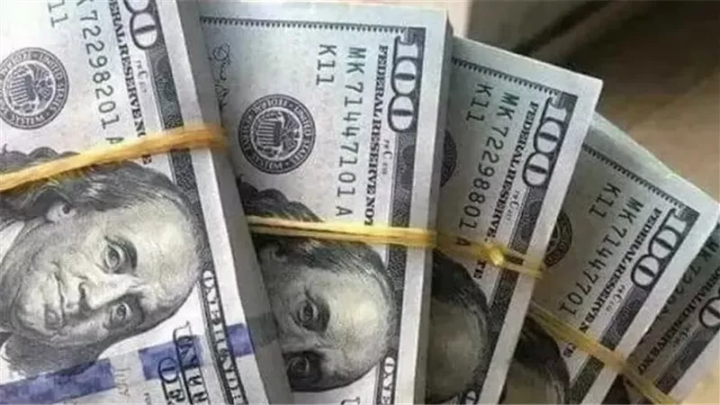 استقرار سعر الدولار في البنوك المصرية اليوم 26_7_2026